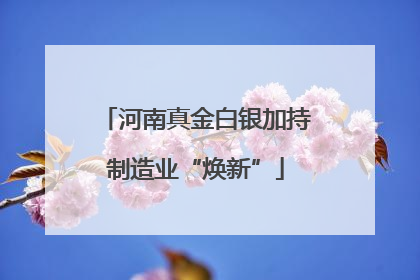 河南真金白银加持制造业“焕新”