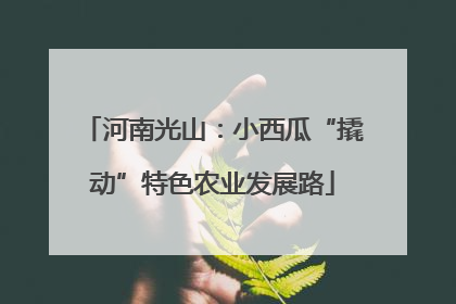 河南光山：小西瓜“撬动”特色农业发展路