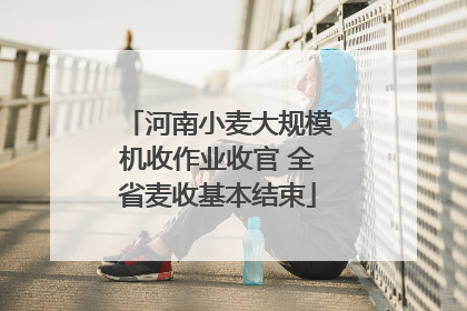 河南小麦大规模机收作业收官 全省麦收基本结束