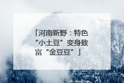 河南新野：特色“小土豆”变身致富“金豆豆”