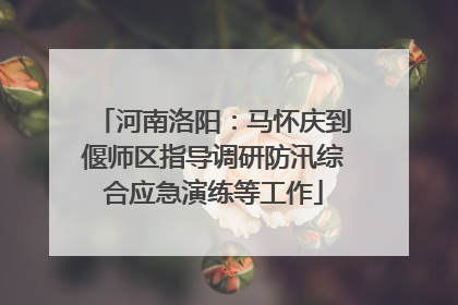 河南洛阳：马怀庆到偃师区指导调研防汛综合应急演练等工作