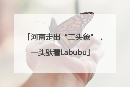 河南走出“三头象”，一头驮着Labubu
