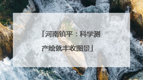 河南镇平：科学测产绘就丰收图景