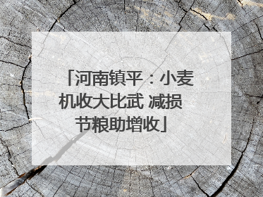 河南镇平：小麦机收大比武 减损节粮助增收