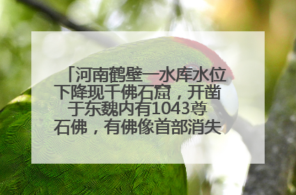 河南鹤壁一水库水位下降现千佛石窟，开凿于东魏内有1043尊石佛，有佛像首部消失，水库管理方回应