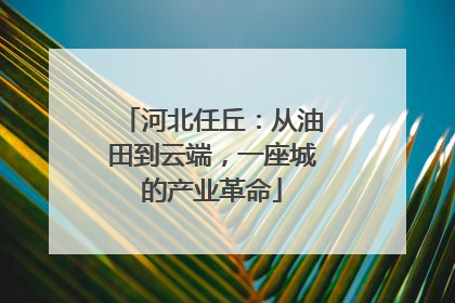 河北任丘：从油田到云端，一座城的产业革命