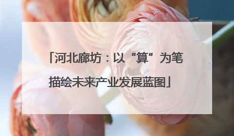 河北廊坊：以“算”为笔描绘未来产业发展蓝图