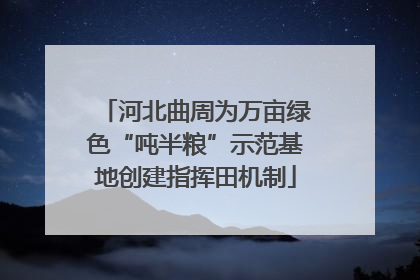 河北曲周为万亩绿色“吨半粮”示范基地创建指挥田机制