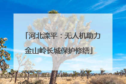 河北滦平：无人机助力金山岭长城保护修缮