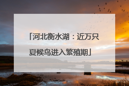 河北衡水湖：近万只夏候鸟进入繁殖期