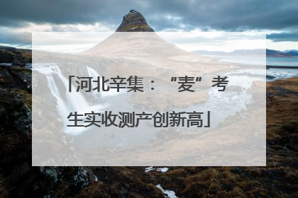 河北辛集：“麦”考生实收测产创新高