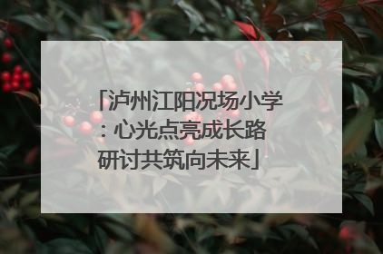 泸州江阳况场小学：心光点亮成长路 研讨共筑向未来