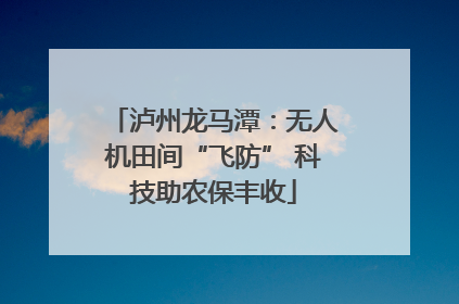 泸州龙马潭：无人机田间“飞防” 科技助农保丰收