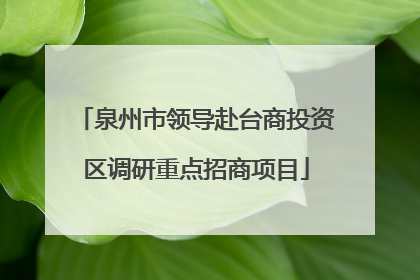泉州市领导赴台商投资区调研重点招商项目