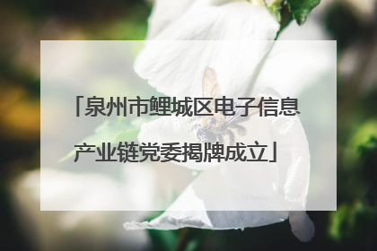泉州市鲤城区电子信息产业链党委揭牌成立