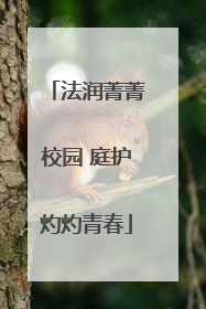 法润菁菁校园 庭护灼灼青春