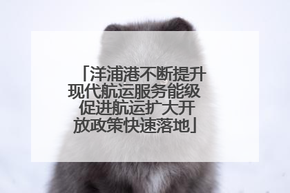 洋浦港不断提升现代航运服务能级 促进航运扩大开放政策快速落地