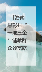 洛南：黑彰村“一地三金”铺就群众致富路