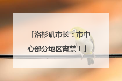 洛杉矶市长：市中心部分地区宵禁！