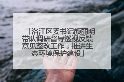 洛江区委书记颜丽明带队调研督导巡视反馈意见整改工作，推进生态环境保护建设