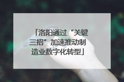 洛阳通过“关键三招”加速推动制造业数字化转型
