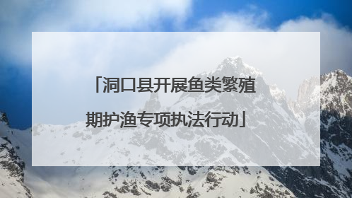 洞口县开展鱼类繁殖期护渔专项执法行动