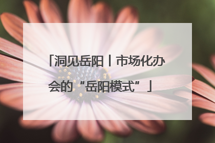 洞见岳阳丨市场化办会的“岳阳模式”