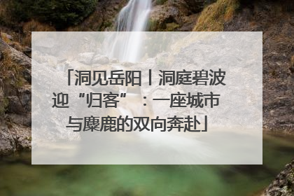 洞见岳阳丨洞庭碧波迎“归客”：一座城市与麋鹿的双向奔赴