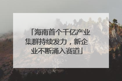 海南首个千亿产业集群持续发力，新企业不断涌入赛道