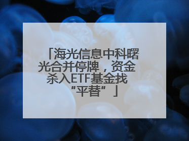 海光信息中科曙光合并停牌，资金杀入ETF基金找“平替”