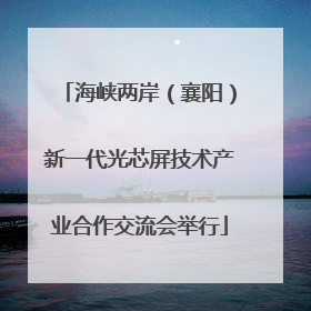 海峡两岸（襄阳）新一代光芯屏技术产业合作交流会举行