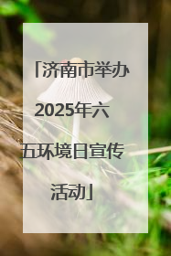 济南市举办2025年六五环境日宣传活动