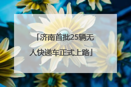 济南首批25辆无人快递车正式上路