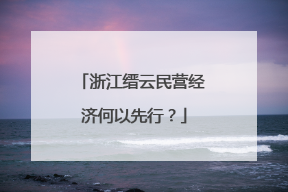 浙江缙云民营经济何以先行？