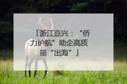 浙江嘉兴：“侨力护航”助企高质量“出海”