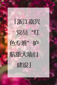浙江嘉兴：党员“红色专班”护航重大项目建设
