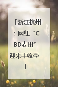 浙江杭州：网红“CBD麦田”迎来丰收季