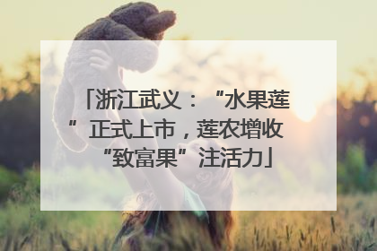 浙江武义：“水果莲”正式上市，莲农增收“致富果”注活力