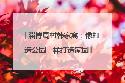 淄博周村韩家窝：像打造公园一样打造家园