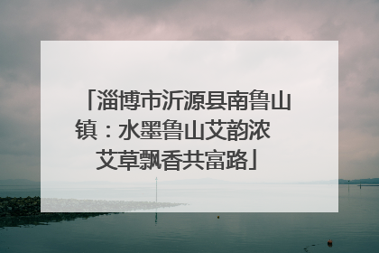 淄博市沂源县南鲁山镇：水墨鲁山艾韵浓 艾草飘香共富路