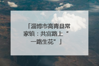 淄博市高青县常家镇：共富路上“一路生花”