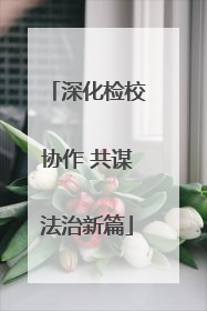 深化检校协作 共谋法治新篇