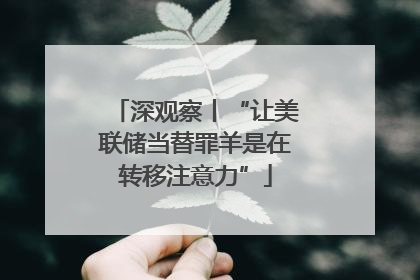深观察丨“让美联储当替罪羊是在转移注意力”