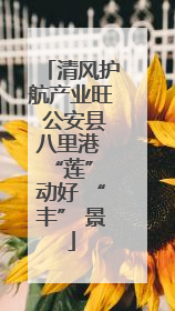 清风护航产业旺 公安县八里港 “莲” 动好 “丰” 景