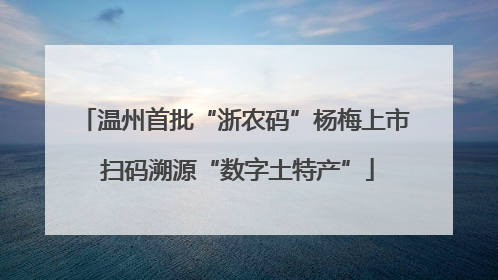 温州首批“浙农码”杨梅上市 扫码溯源“数字土特产”