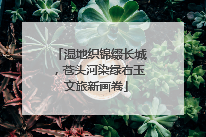 湿地织锦缀长城，苍头河染绿右玉文旅新画卷