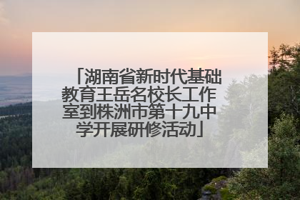 湖南省新时代基础教育王岳名校长工作室到株洲市第十九中学开展研修活动