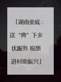 湖南娄底：送“典”下乡优服务 税惠进村助振兴