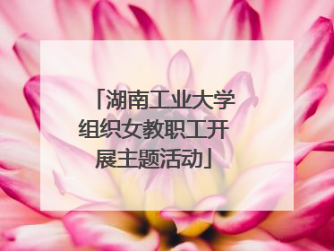 湖南工业大学组织女教职工开展主题活动