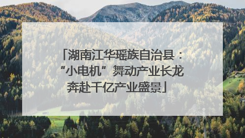湖南江华瑶族自治县：“小电机”舞动产业长龙 奔赴千亿产业盛景